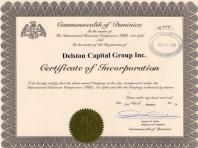 Revizija Delston Capital Group, Inc.